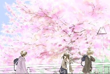 白虎免费观看全集